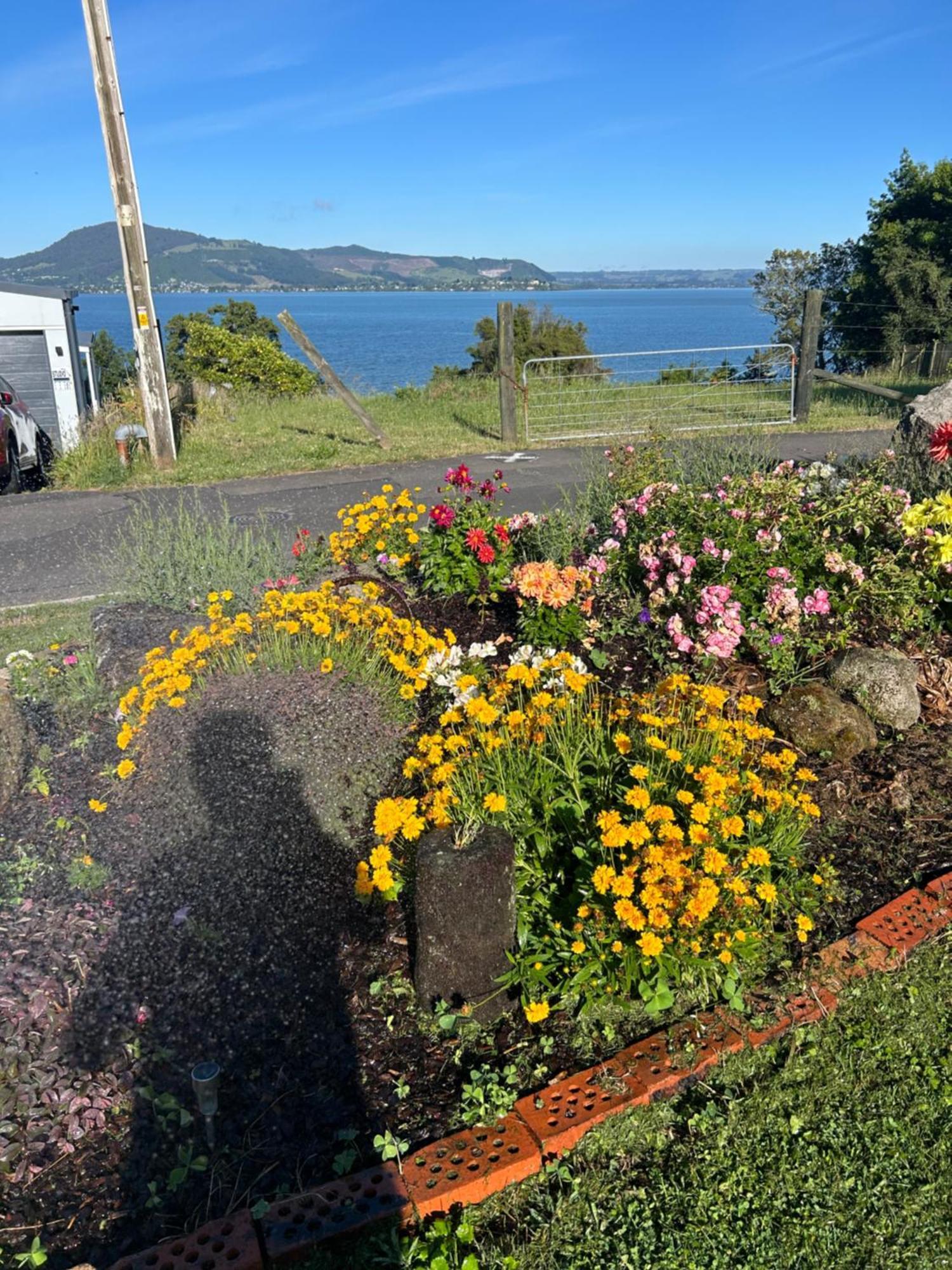 Rotorua Lakes Cottage Exterior photo